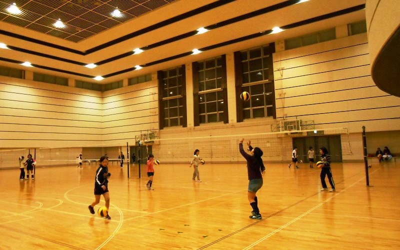 ミニバレーボール